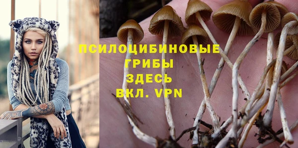 Альфа ПВП Алзамай
