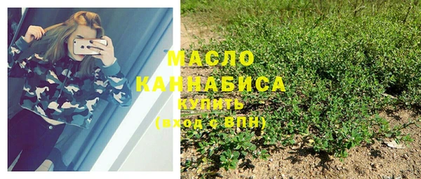 прущие грибы Абаза