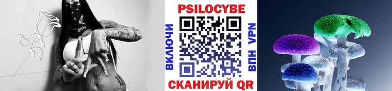 мега онион  Игарка  Псилоцибиновые грибы ЛСД  даркнет сайт 